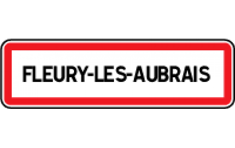 45 Fleury les Aubrais - Chpt Régional EDT 10 mètres 2019.